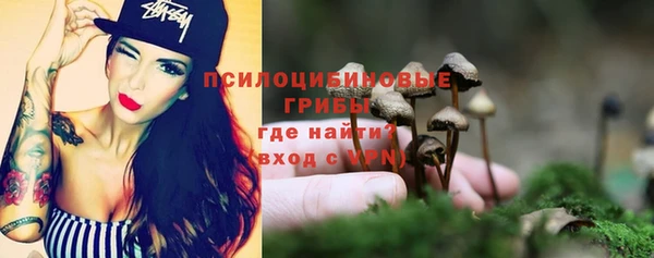 амфетамин Алексеевка