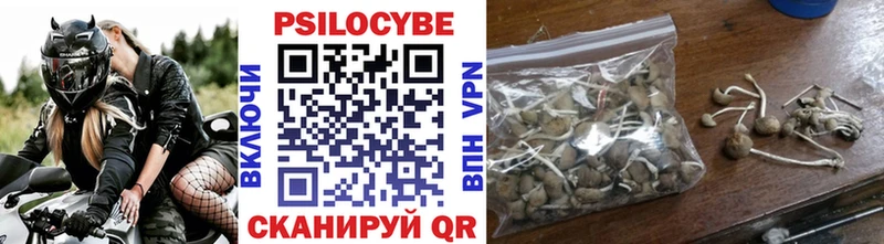 Галлюциногенные грибы Cubensis  Опочка 